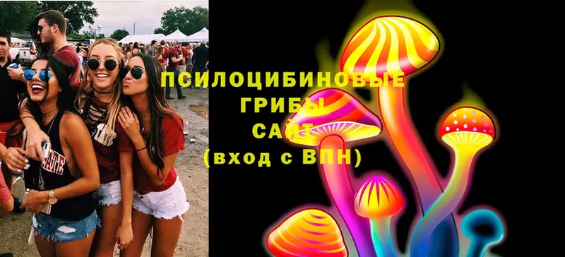 Галлюциногенные грибы Psilocybine cubensis  наркошоп  блэк спрут   Таганрог 